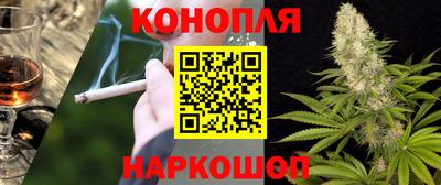 дживик Славгород