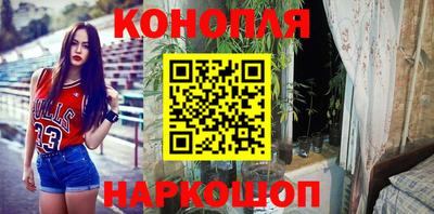 крисы Славянск-на-Кубани