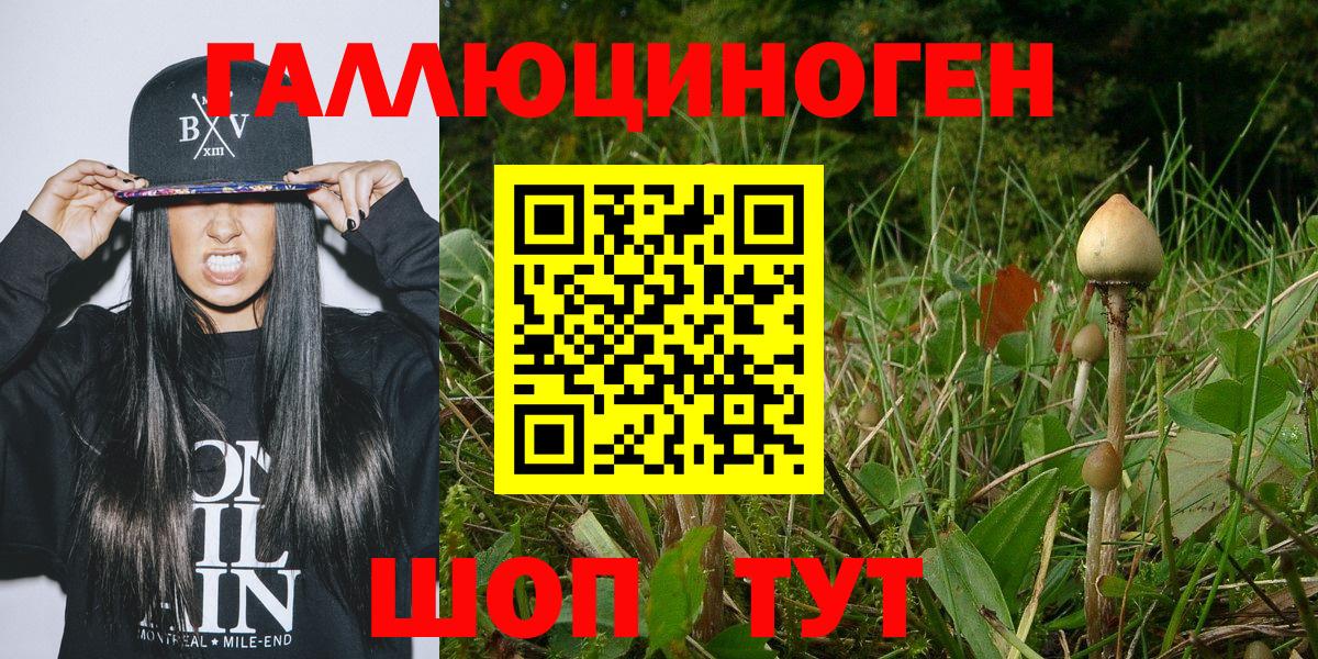 Ноябрьск  Галлюциногенные грибы Magic Shrooms  Вход с VPN 